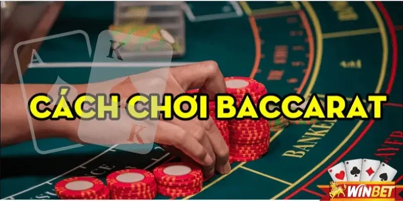 Cách Thức Hoạt Động Của Baccarat Winbet