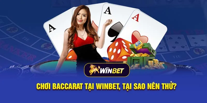 Lưu Ý Khi Chơi Baccarat Winbet