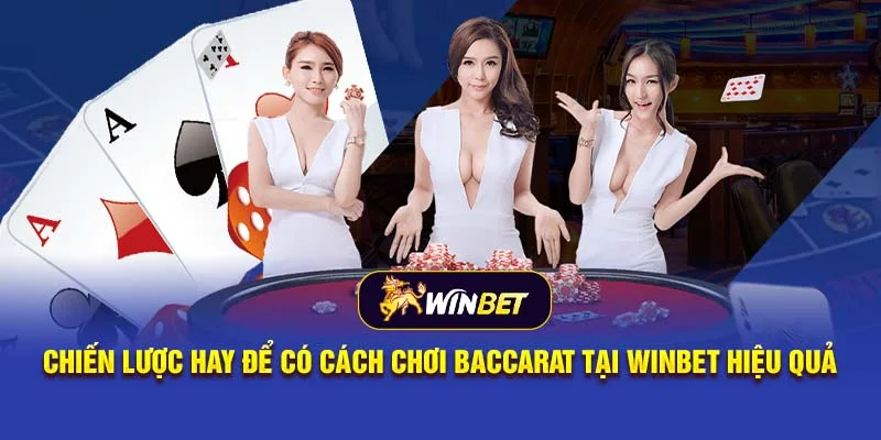 Chiến Thuật Chơi Baccarat Winbet