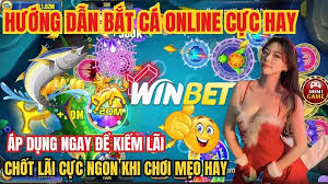 Những Điều Cần Lưu Ý Khi Chơi Bắn Cá h5 Winbet